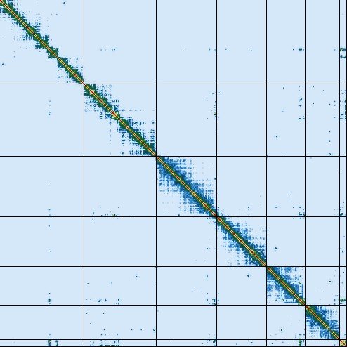 Hi-C contact map