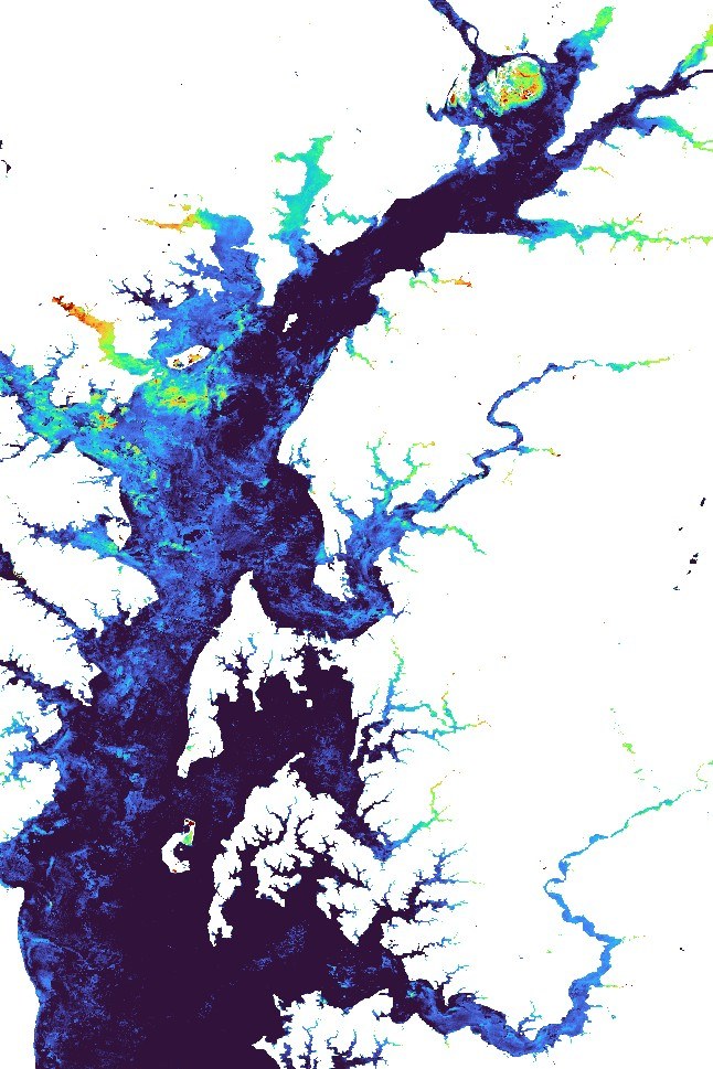Chesapeake Bay chlorophyll &middot; Sentinel-2 via Google Earth Engine