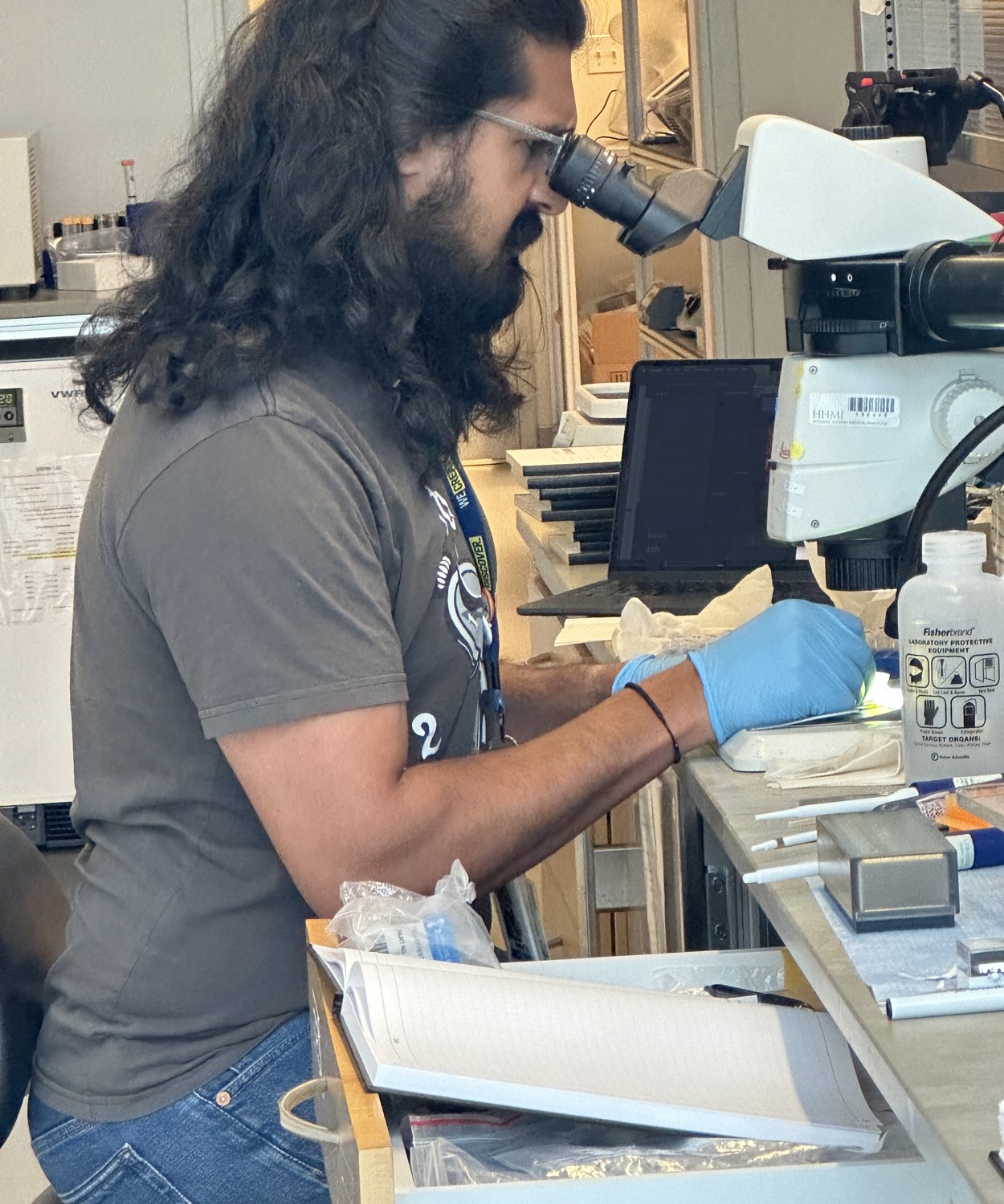 At the microscope in the Stern Lab
